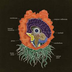 Inugami Circus-Dan : Sakura Chiru Naka